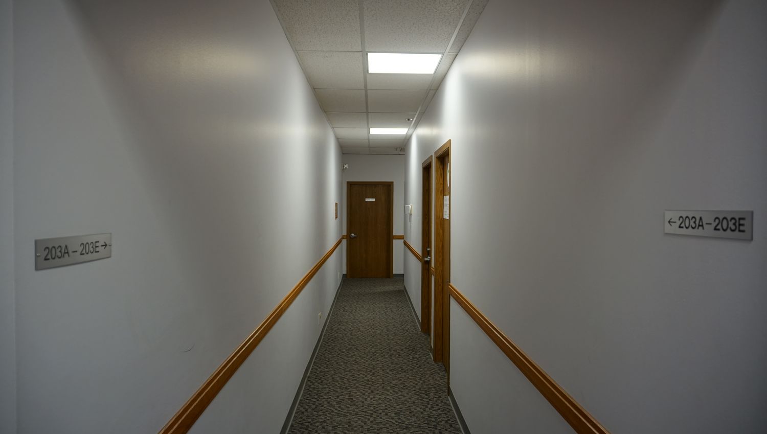 Suite 203 D